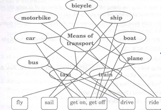 tieng-anh-lop-7-moi.Unit-7.Looking-Back.2. Write the names of means of transport in the word web below. Then draw lines joining the correct verbs to the transport